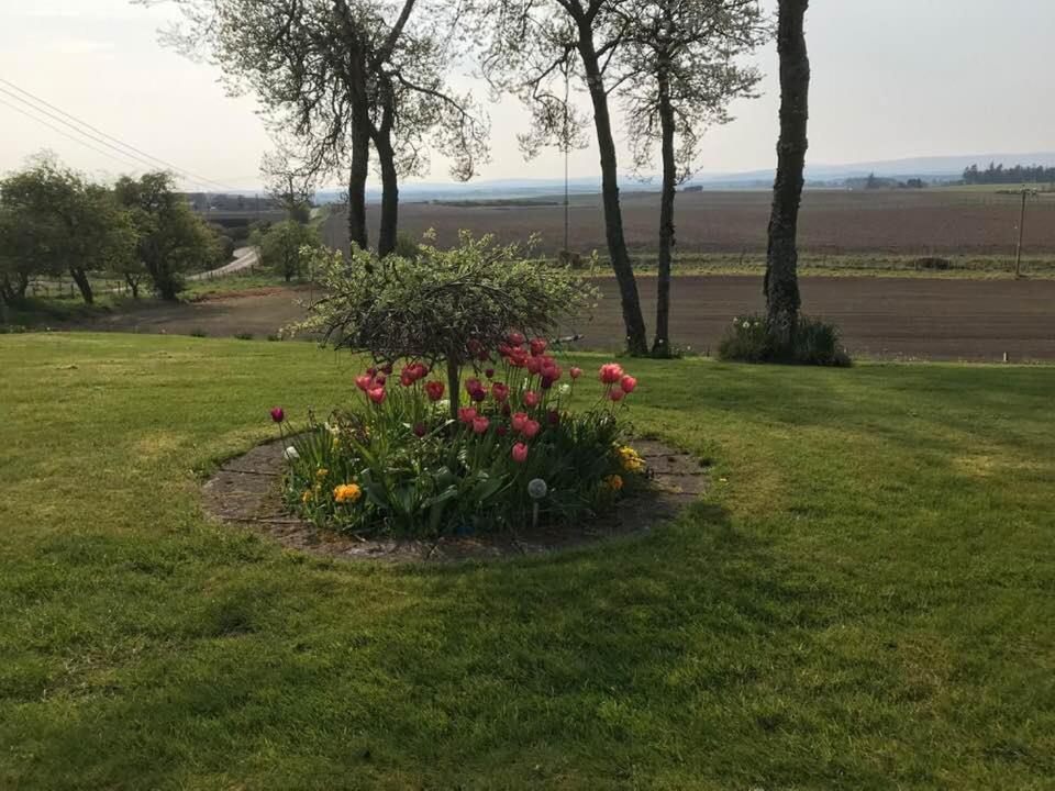 Broomlea Ardersier Exteriör bild