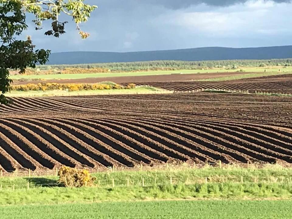 Broomlea Ardersier Exteriör bild