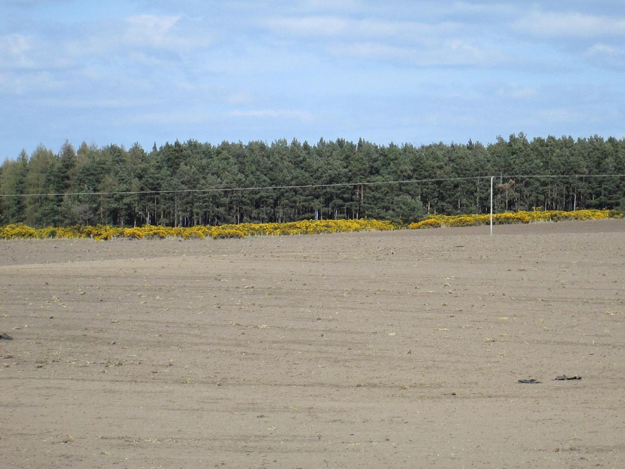 Broomlea Ardersier Exteriör bild